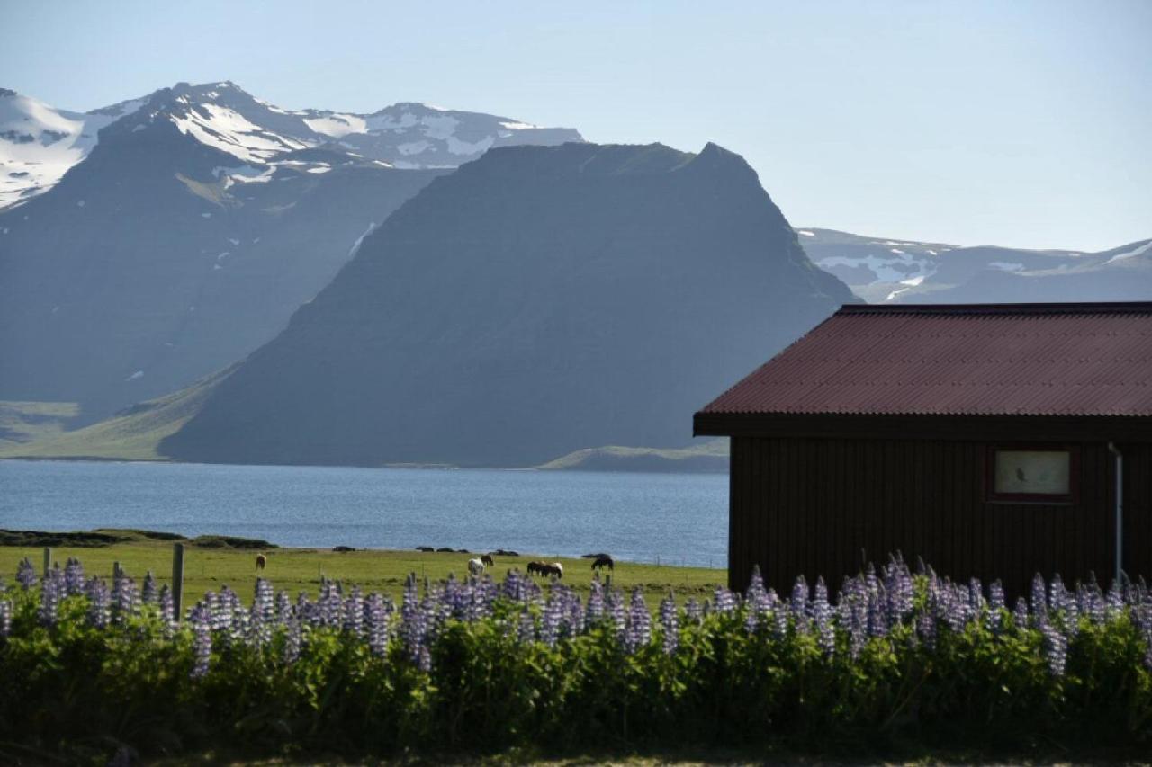 Sudur-Bar Guesthouse Grundarfjordur Buitenkant foto